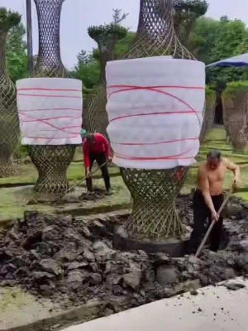 巨無霸紫薇造型樹震撼登場，金牌苗木人誠信供應精品綠化苗木